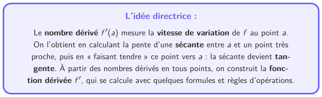 Schéma : L'idée directrice
